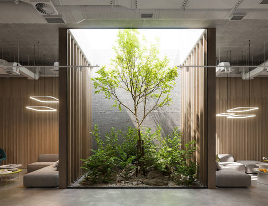 The Importance of going Eco Friendly